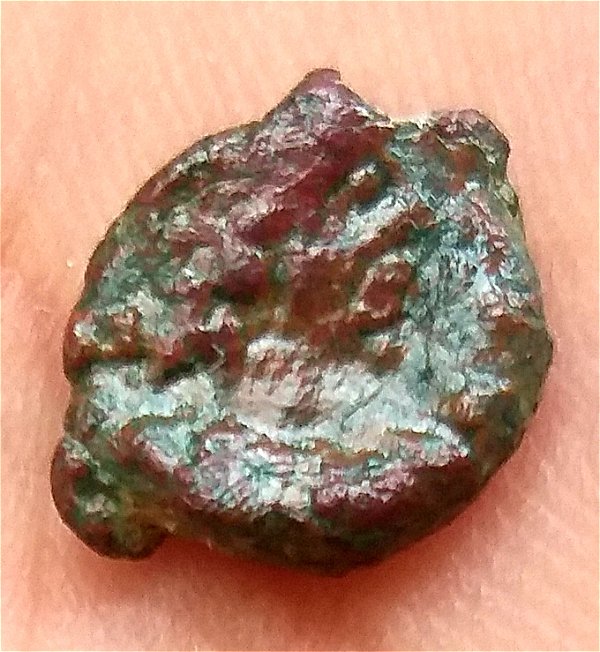 Some-Kind-Of-Flower-On-Unknown-Coin-Id:-Vandal-Ae