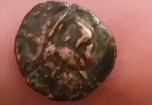Small-Coin-With-Big-Nose