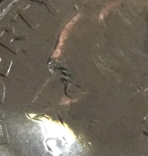 1967-Quarter-With-Multiple-Errors-On-Both-Sides?