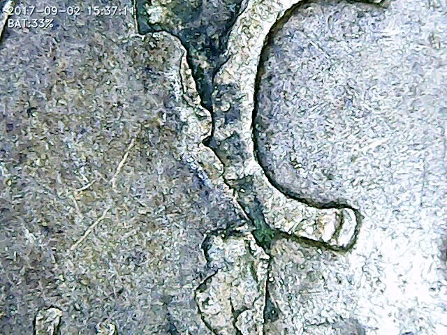 1956-D-Penny..-Error-Of-Just-Damage