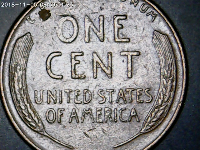 1944--&-1957-D-Wheat-Pennies