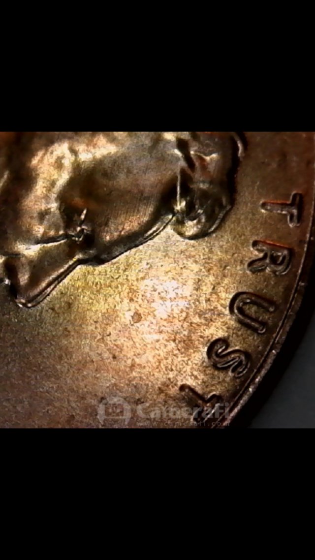 Possible-2019-Penny-DDO/De?-Opinions
