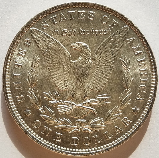 Morgan,-Please-Judge