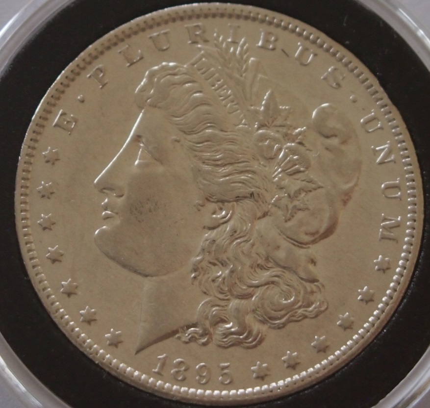 1895-O-Morgan-Dollar-,-Please-Judge