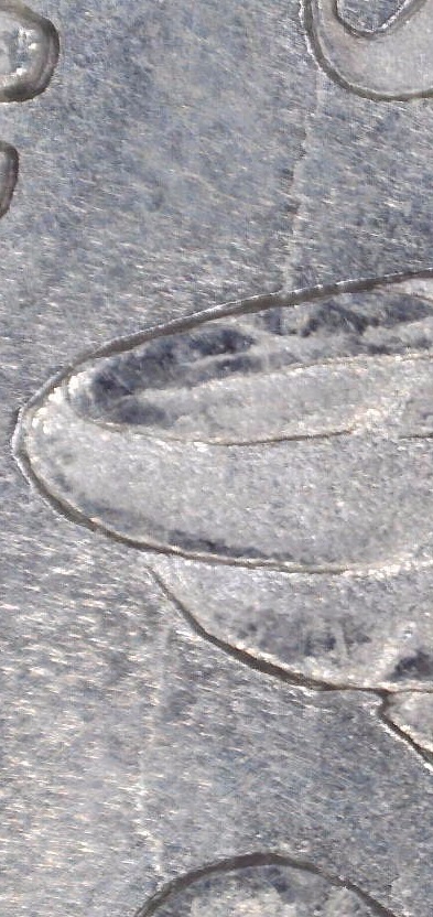 Learning,-1878-Morgan-Under-Scope---Doubled-Letters?