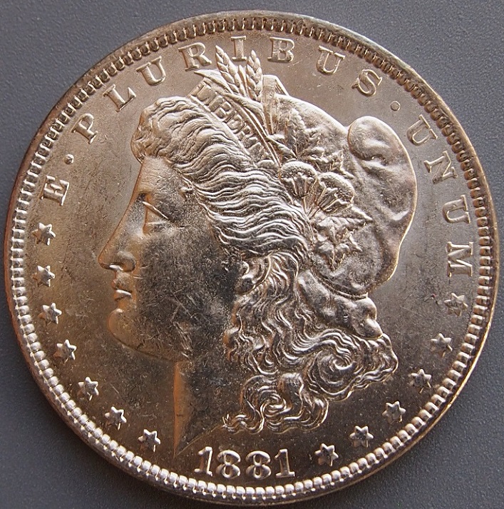 Morgan,-1881-O,-Please-Give-Me-A-Grade-Above-Failing...-Lol
