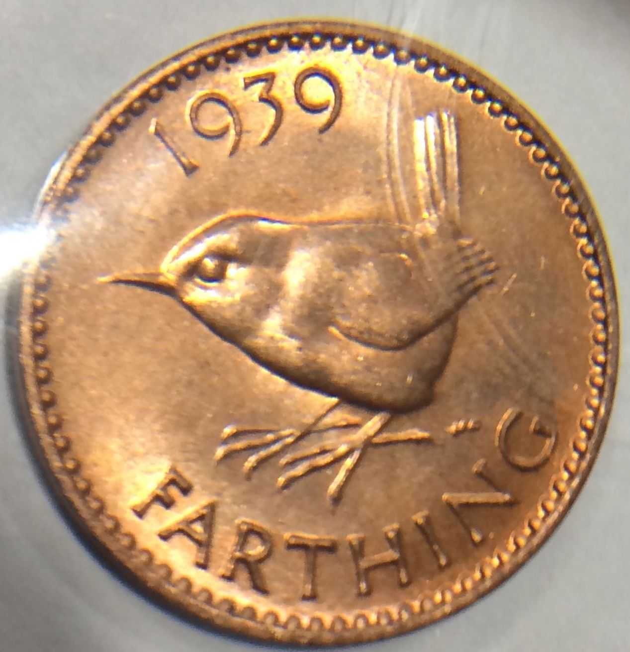 Post-Your-Coins-Representing-The-Animal-Kingdom.