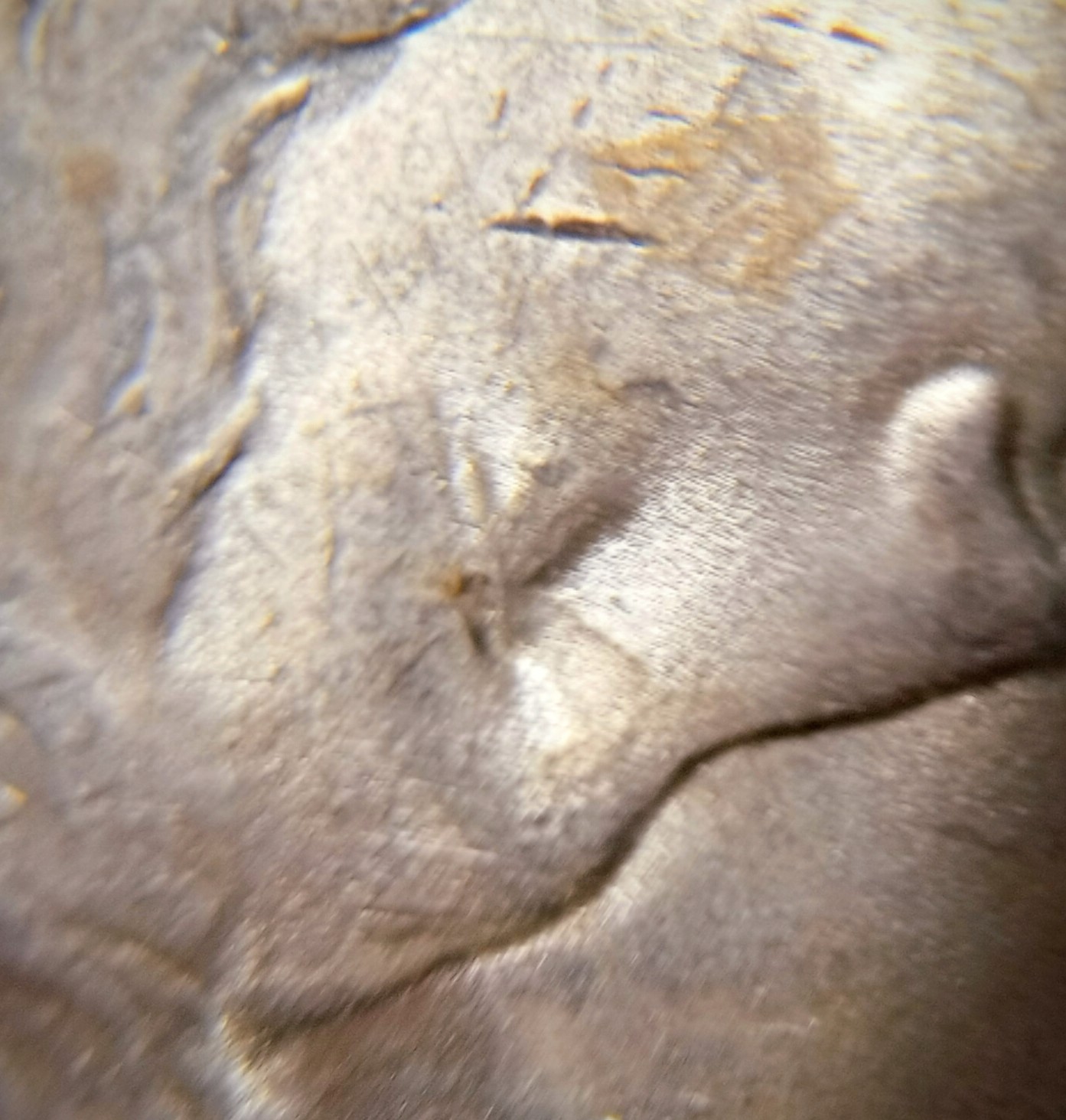 Cracked-Die-On-1922-Peace-Dollar