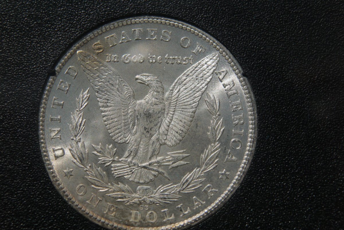 What-Do-You-Think-GSA-80?
