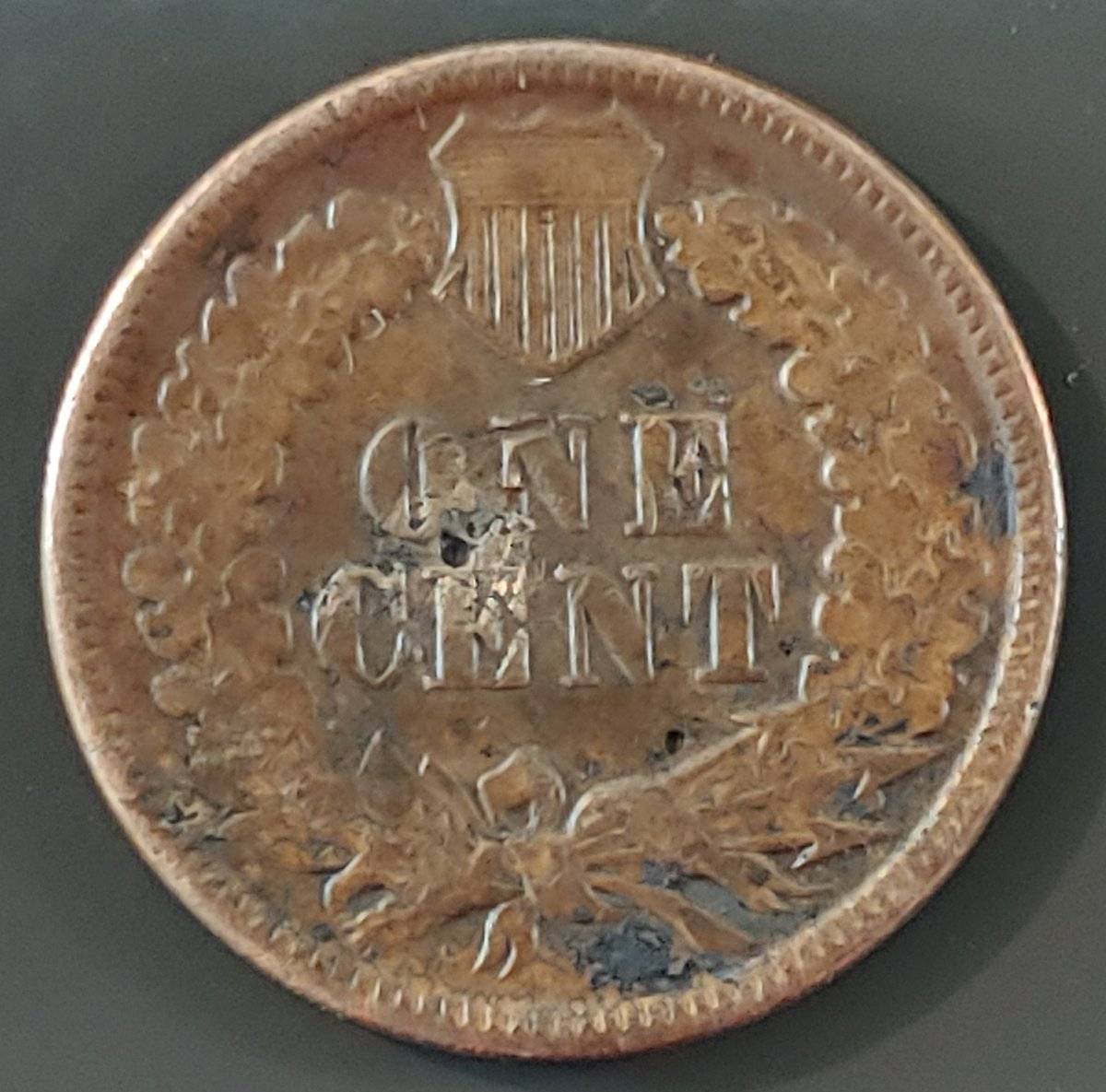 1881-Indian-Head-Cent--NGC-Determined-