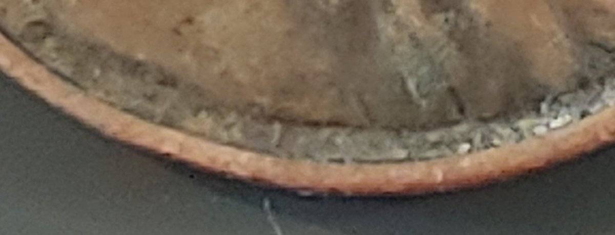 1959-D-Lincoln-Penny