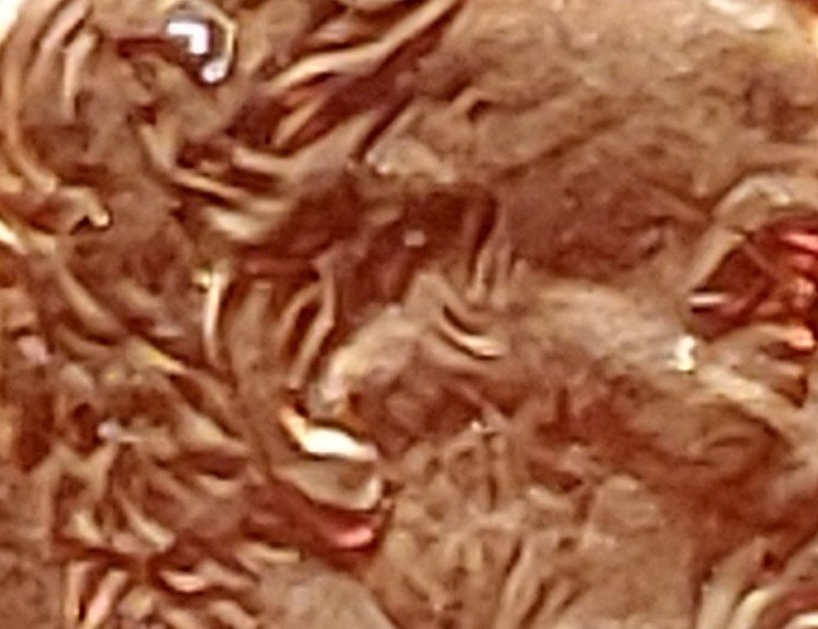 1997-LMC-DDO/Double-Ear-Variety