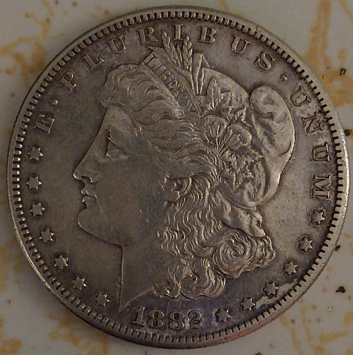 Morgan-Dollar-