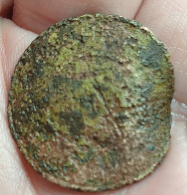 What-On-Earth-Have-I-Found?