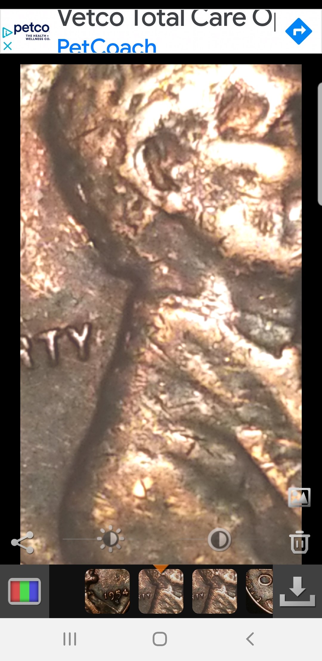 1992-Closed-Am.question