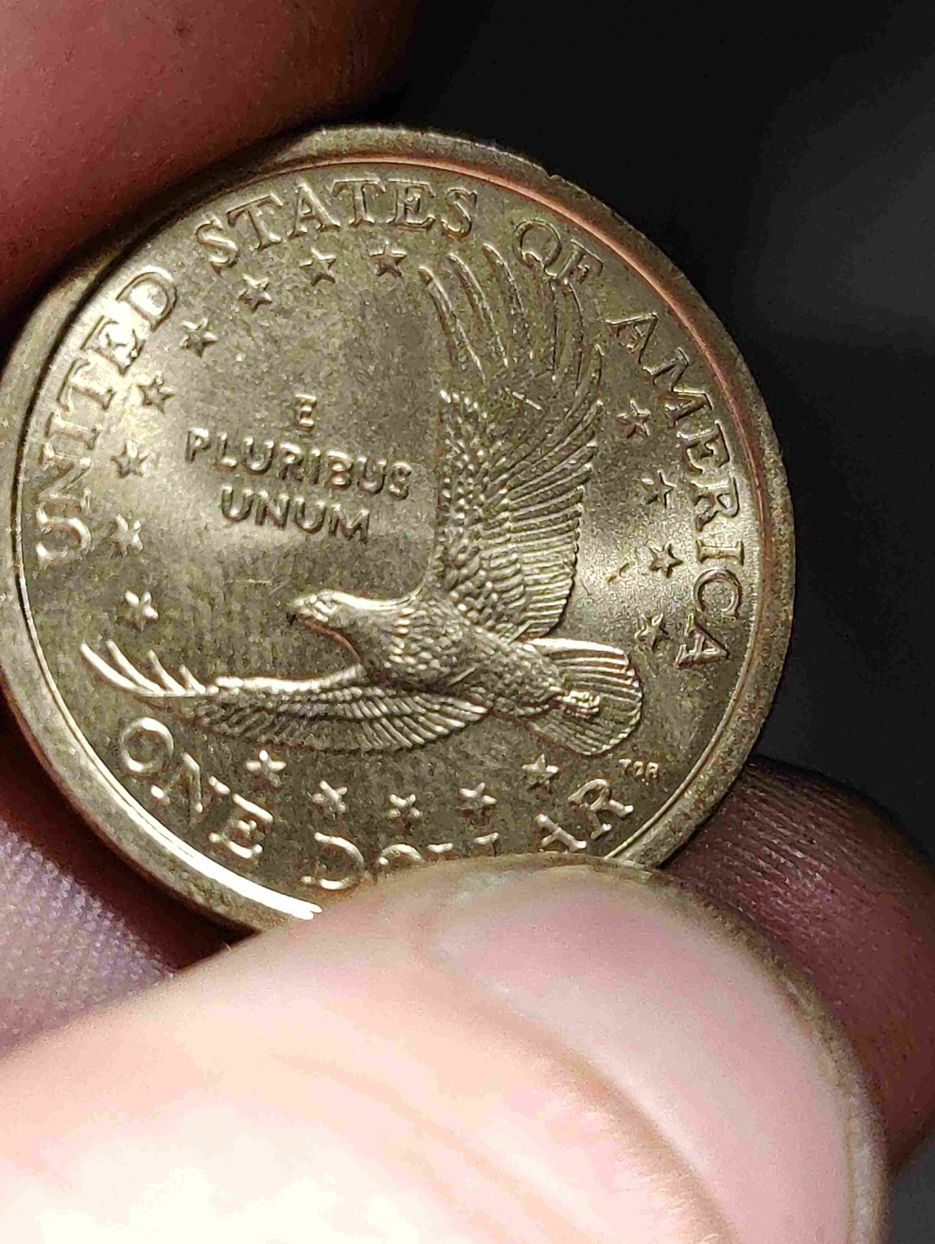 Woohoo-Finally-A-Really-Real-First-Find!--I-Found-The-Wounded-Eagle.-2000-P-Sacagawea-Dollar