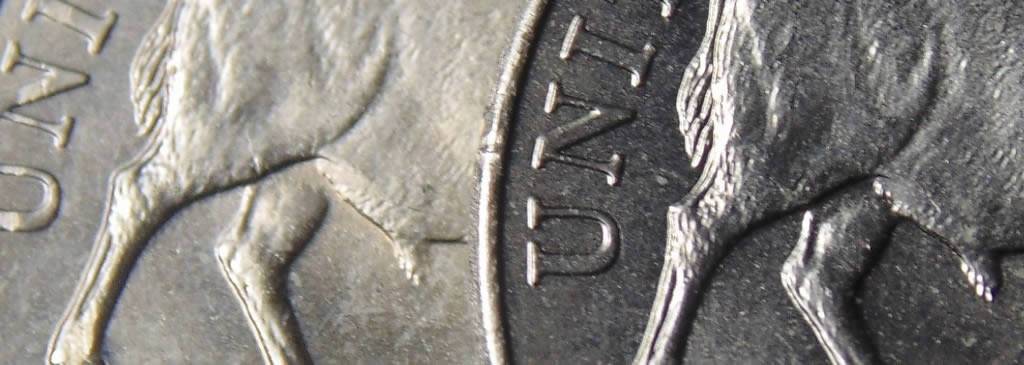 2005-Bison-Nickel-Somewhat-Detached-Leg.