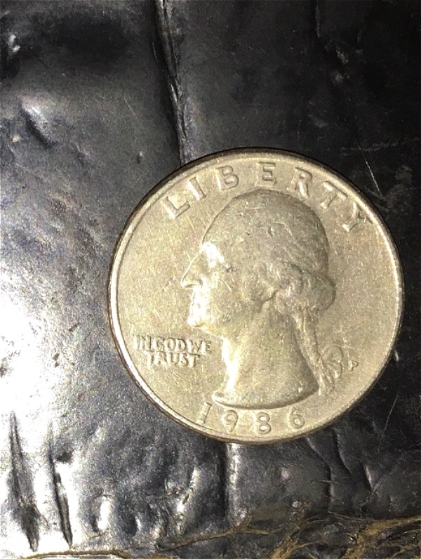 Please-Gods-Of-Doubled-Dies....let-This-Be-The-One?!?!?!-1986-P-Washington