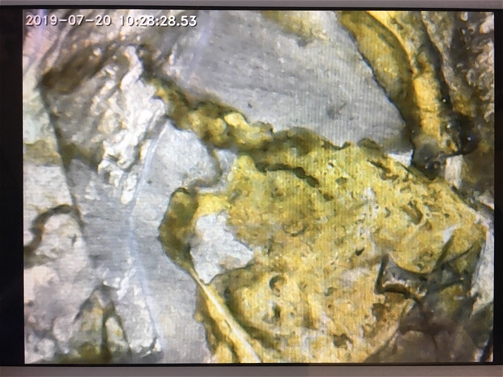 1995-D-Kennedy-Half-Struck-Through-Gold-Coin?