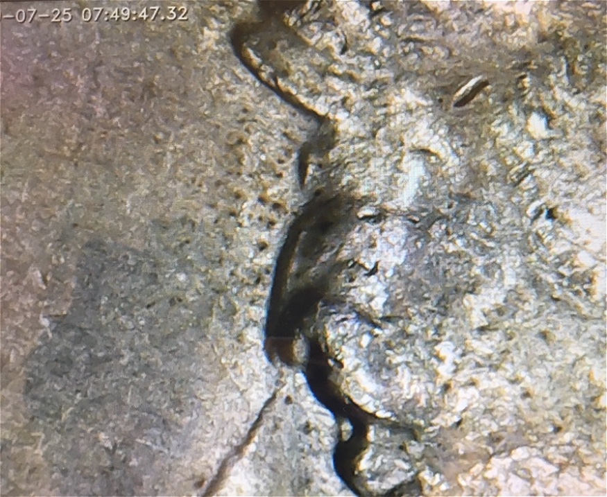1977-D-Kennedy-Half-Dollar,-Need-Help-Please