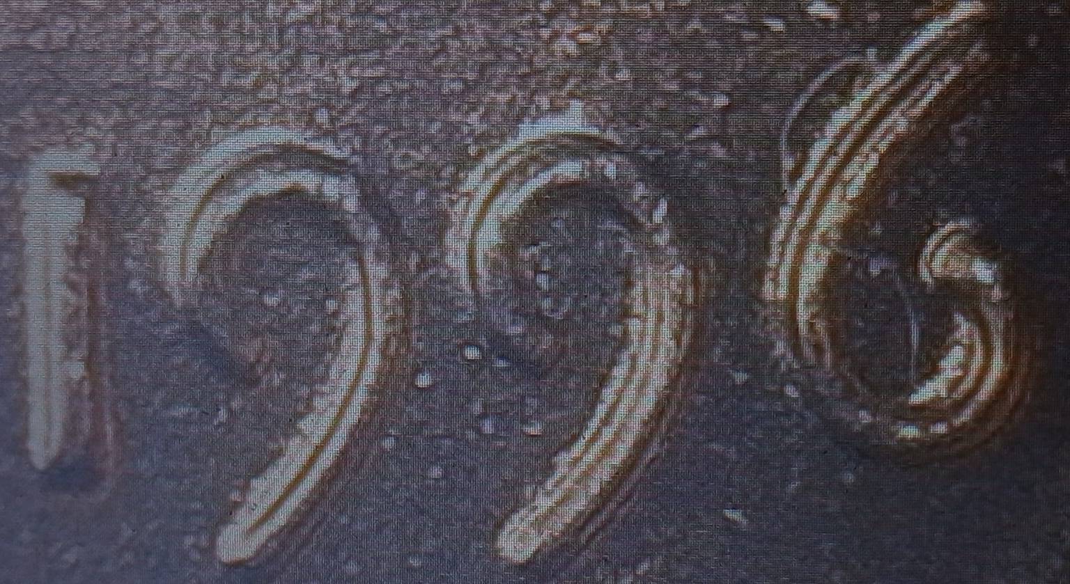 1996-Philadelphia-Lincoln-DDO?-Cent
