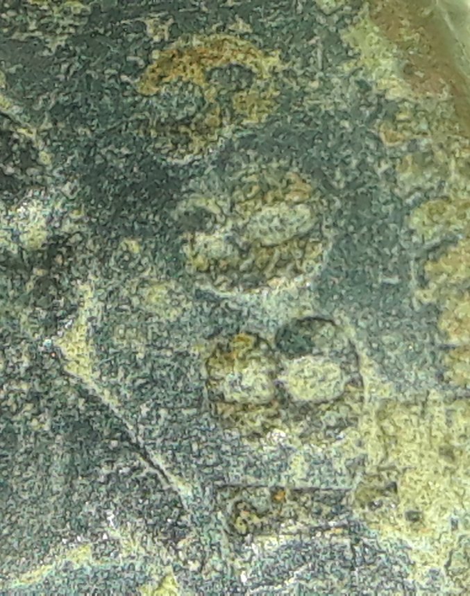Is-This-1869-Indian-Head-Cent-Worth-Keeping?
