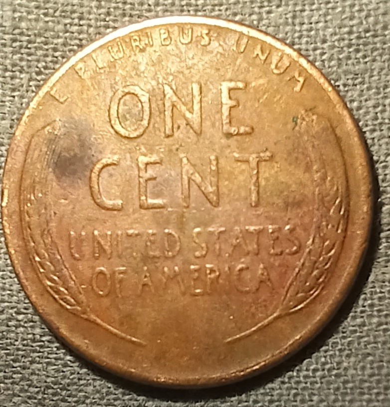 Newbie-Help-1956-D-Wheat-Penny