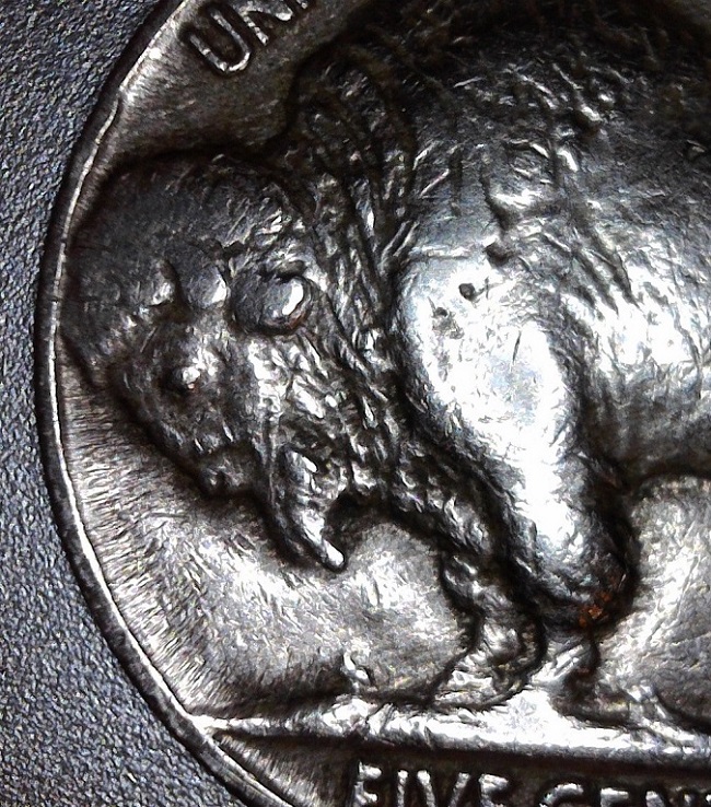 Trying-To-Determine-What-If-This-Is-A-Mint-Error-Indian-Head-Nickel-1937-S