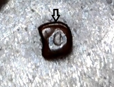 1976-Kennedy-50-Cent-DDO-Or-Machine-Doubling-On-The-Mint-Mark