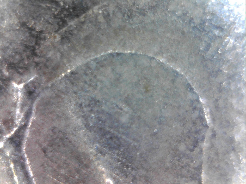 2015-D-Saratoga-Quarter-With-A-Die-Clash-Error?