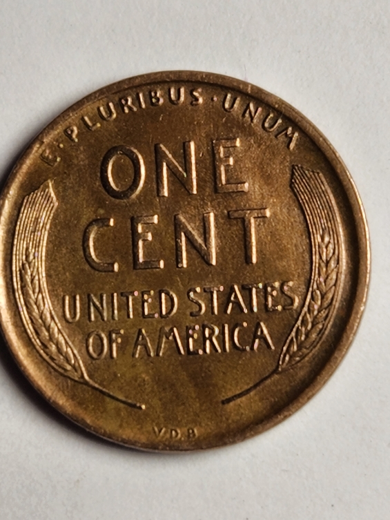 1909-S-VDB.-I-Would-Like-Your-Thoughts-Please