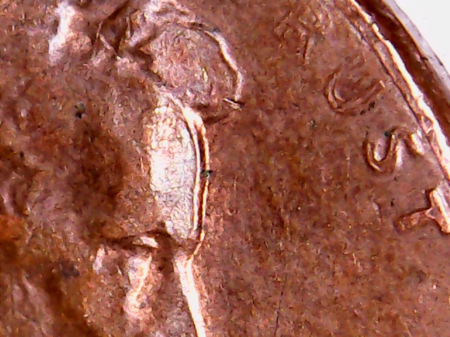 1985-P-Lincoln-Cent,-Please-Disregard-No-Numismatic-Value