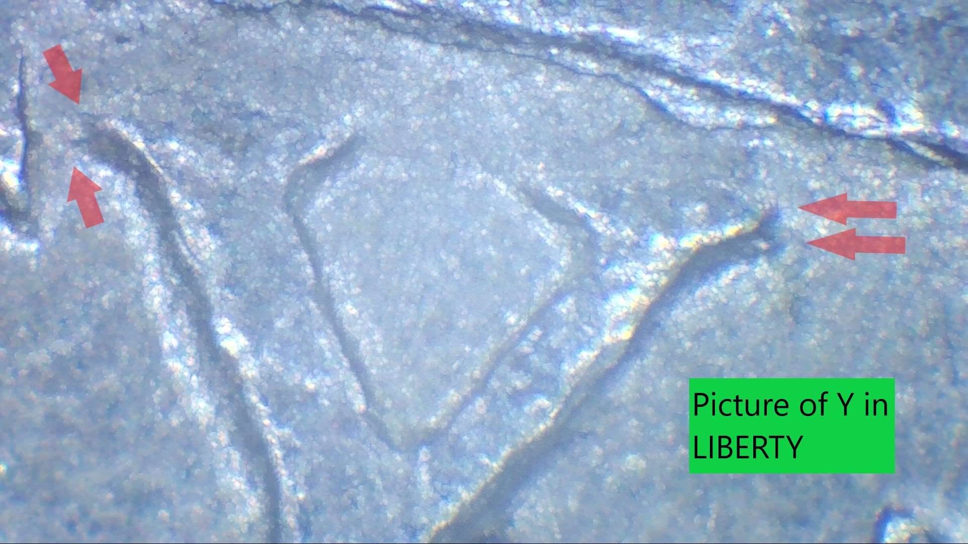 1954-D-Jefferson-Nickel-New-DDO?-Opinions-Please