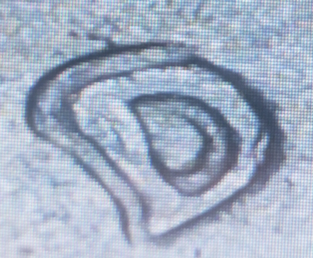 2001-D-Nickel-OMM?-DD?-Looks-Similar-To-RPM-Not-Possible