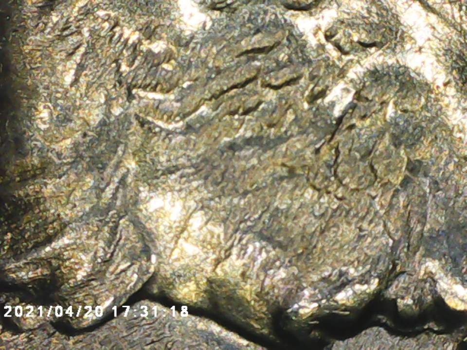What-Happened-To-Mr.-Kennedy?-Struck-Through?-Deterioration?