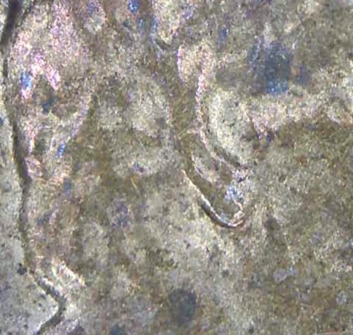 I-Had-Some-Questions-On-Obverse-Of-1984-D-LMC
