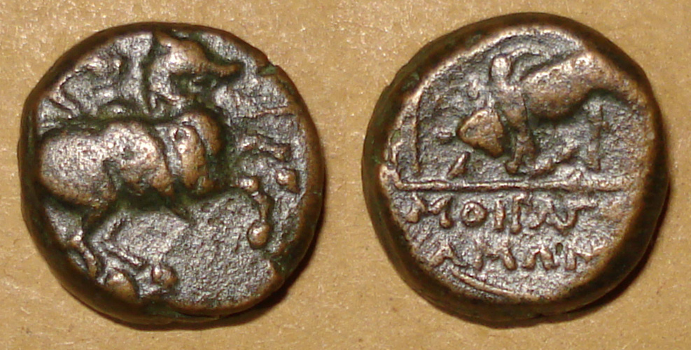 My-First-Animal-On-A-Coin.