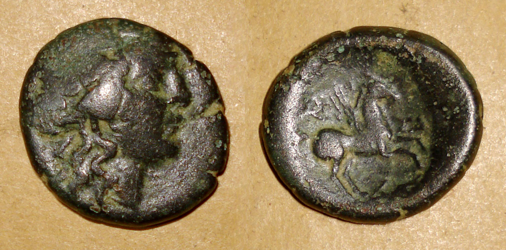 My-First-Animal-On-A-Coin.