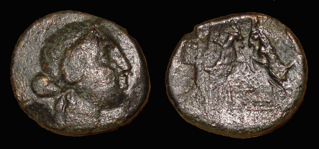 My-First-Animal-On-A-Coin.
