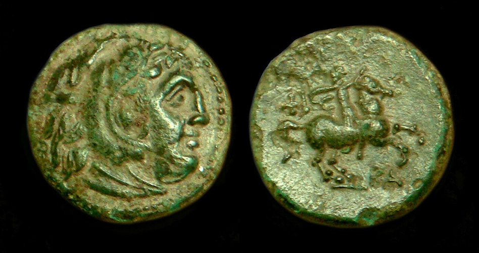 My-First-Animal-On-A-Coin.