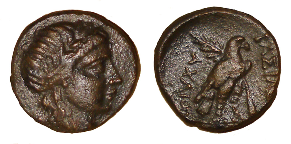 My-First-Animal-On-A-Coin.