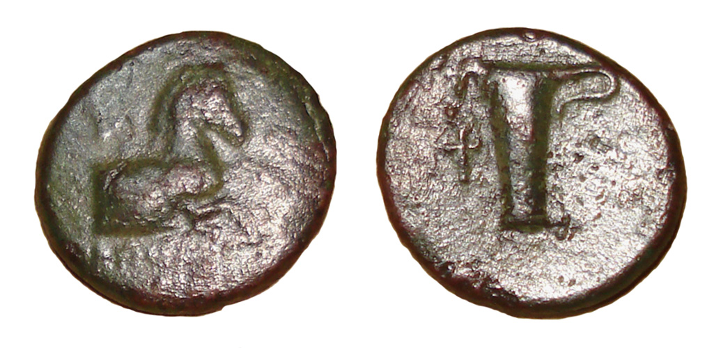 My-First-Animal-On-A-Coin.