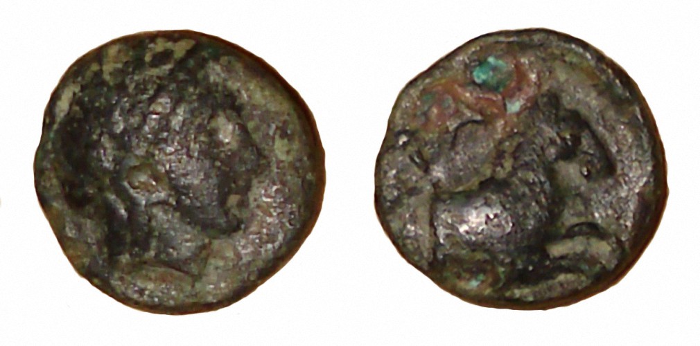 My-First-Animal-On-A-Coin.