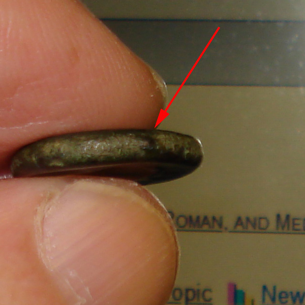 My-First-Animal-On-A-Coin.