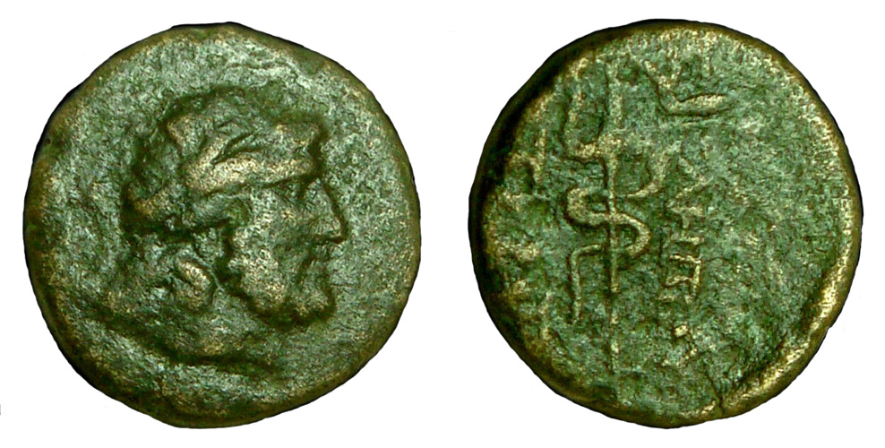 My-First-Animal-On-A-Coin.