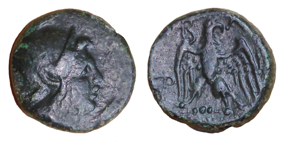 My-First-Animal-On-A-Coin.
