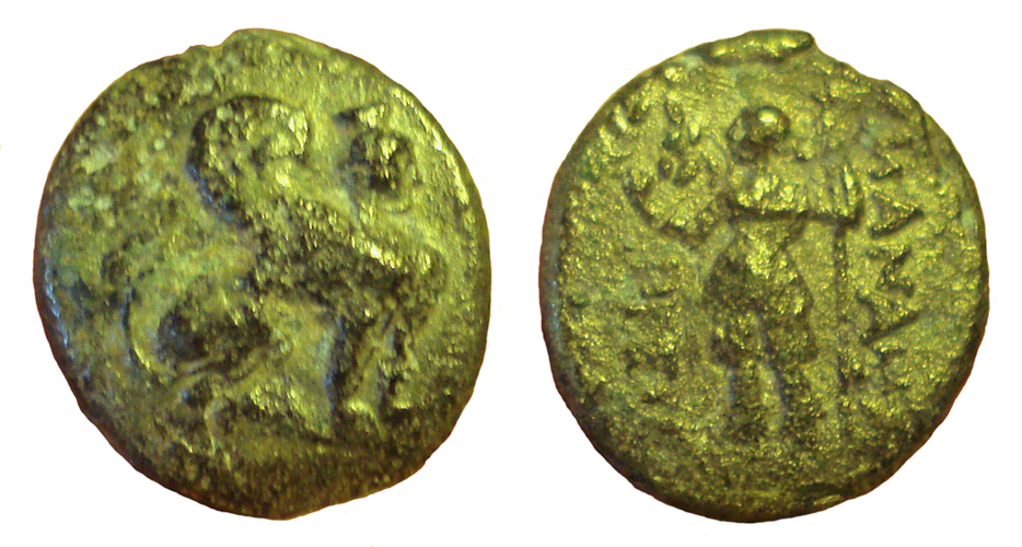 My-First-Animal-On-A-Coin.