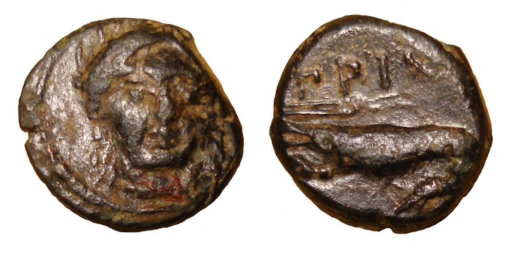 My-First-Animal-On-A-Coin.