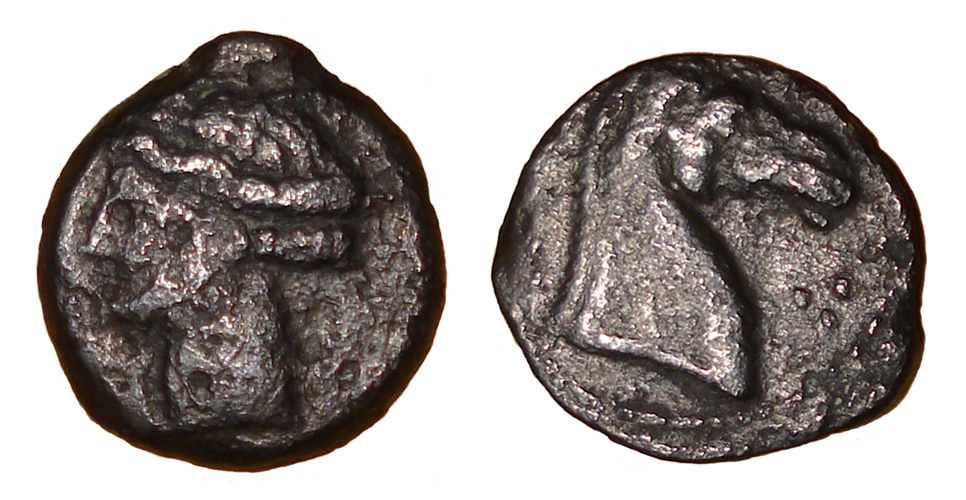My-First-Animal-On-A-Coin.