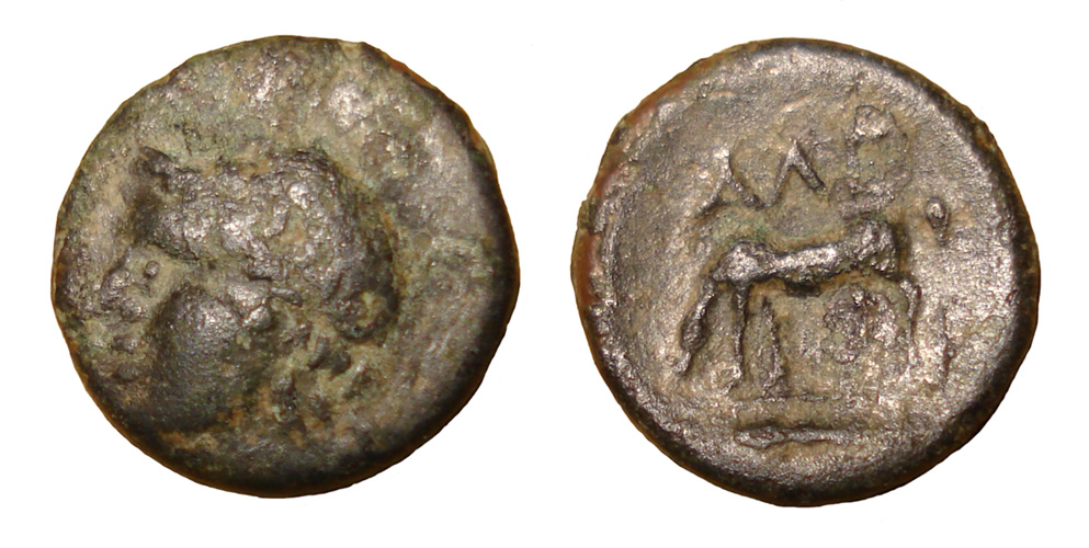 My-First-Animal-On-A-Coin.